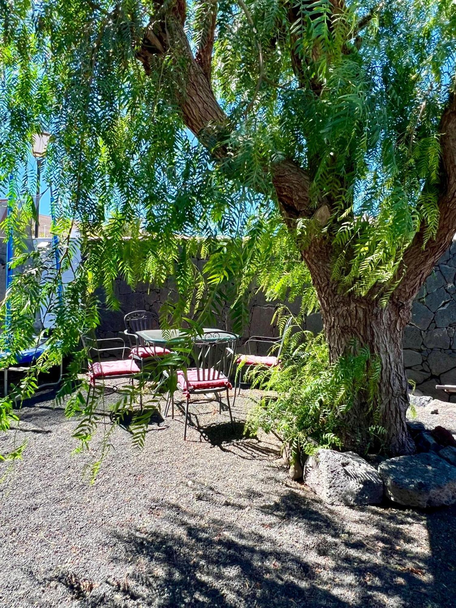 Villa Atienza 99 Πλάγια Μπλάνκα Εξωτερικό φωτογραφία